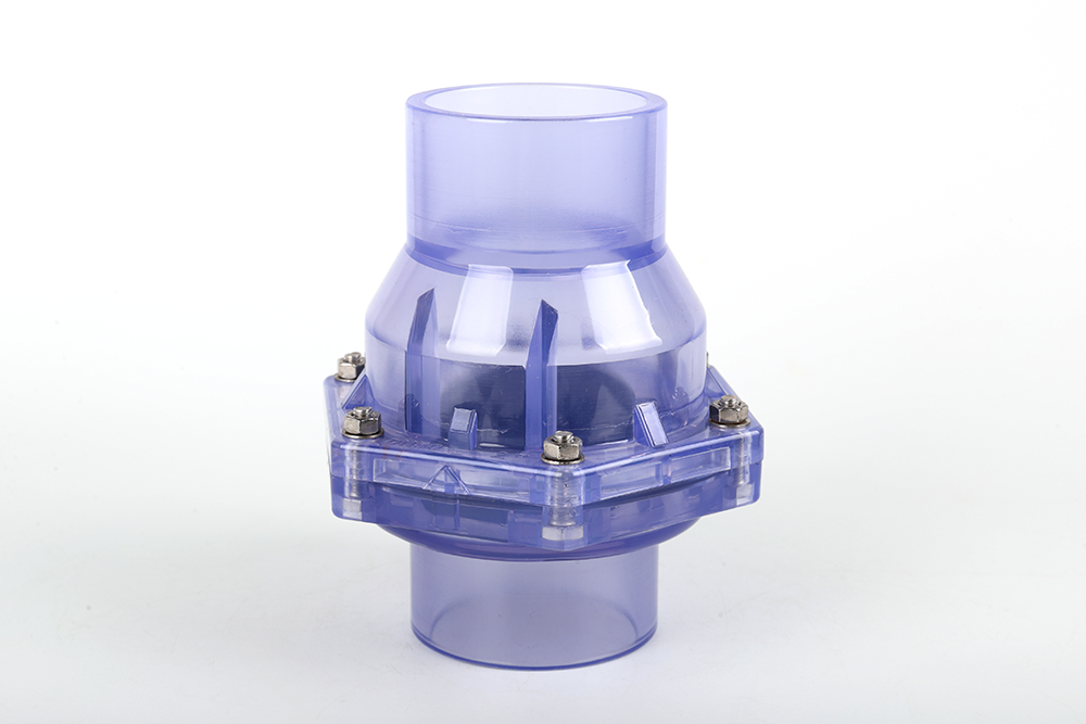 大涌镇透明翻板式止回阀